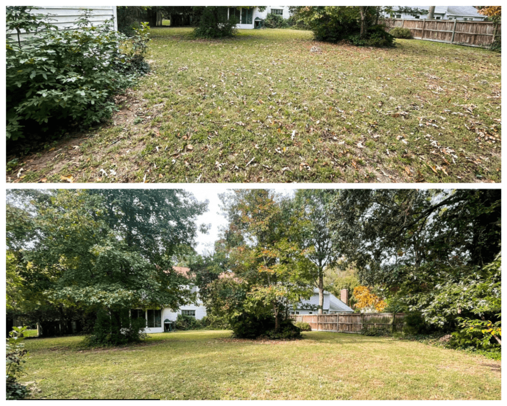 fall clean up before after picture
